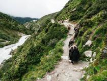 Andrzej Bargiel - przed bazą na Mount Everest