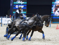 fot. Tytus Kondracki / Kronika24.pl