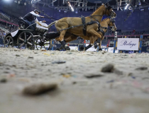 fot. Tytus Kondracki / Kronika24.pl