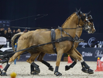 fot. Tytus Kondracki / Kronika24.pl