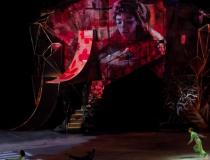 Cirque Du Soleil - Crystal akrobatyczne show na lodzie