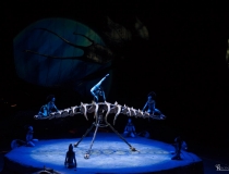 Cirque du Soleil "Toruk - Pierwszy lot"