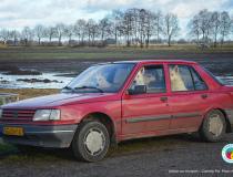 The Comedy Pet Photography Awards 2020 - The Shepherd Family's Road Trip