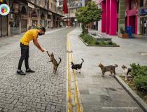 The Comedy Pet Photography Awards 2020 - Social distance meal order