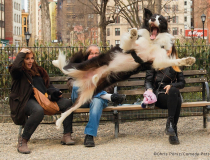 The Comedy Pet Photography Awards 2023