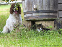 The Comedy Pet Photography Awards 2023
