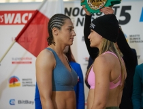 Knockout Boxing Night #5 w Gliwicach