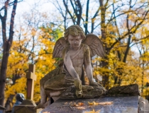 Kwesta na krakowskim Cmentarzu Rakowickim