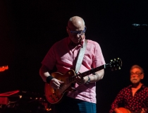 Mark Knopfler z zespołem zagrał w Krakowie
