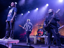 Motionless In White