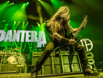 Pantera