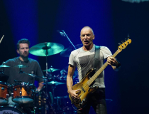 Sting