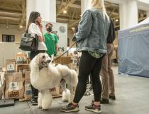 Animal Fest