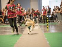 Animal Fest