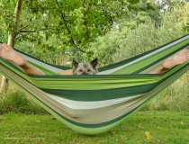 The Comedy Pet Photo Awards 2022