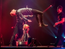 The Illusionists