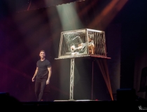 The Illusionists