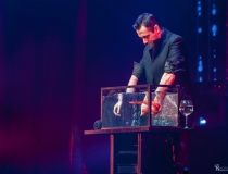 The Illusionists
