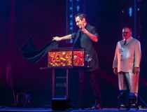 The Illusionists