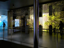 Las bursztynowy i lodowiec w nowym Muzeum Bursztynu