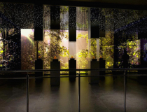 Las bursztynowy w nowym Muzeum Bursztynu