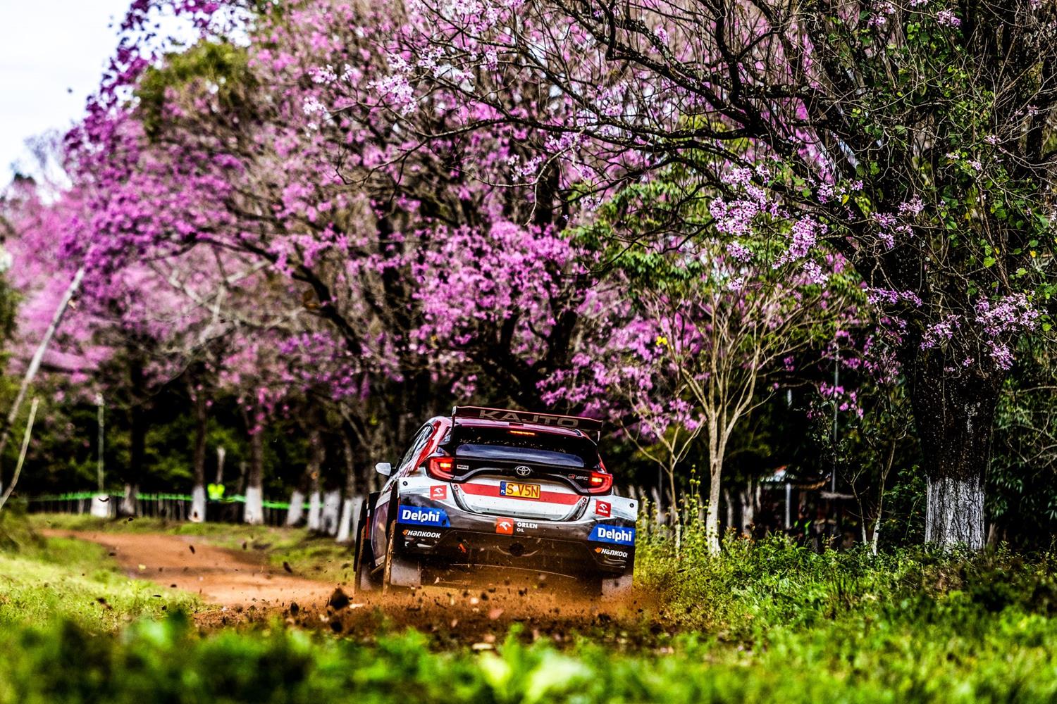 WRC. Rajd Paragwaju. Kajetanowicz: Towarzyszą nam tłumy fanów